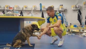 Každý futbalový divák pomáhal: Niké liga podporila útulky po celom Slovensku