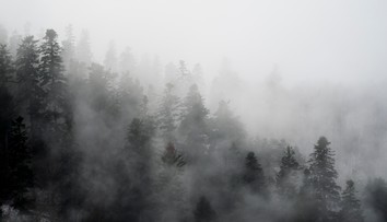 Zamračené počasie pokračuje. Do Vianoc veľké zmeny nečakajte