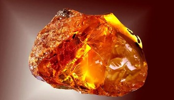 FOTO: Roky používala kameň z potoka ako zarážku dverí. Žena netušila, že ide o mimoriadne cenný klenot