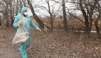 V Bytči potvrdili ohnisko vtáčej chrípky, nariadili opatrenia