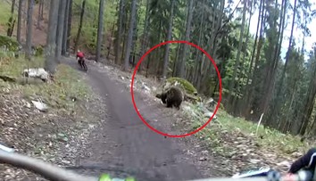 Dvoch cyklistov naháňal v Malinô Brdo medveď. Všetko zachytila kamera