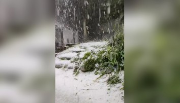 VIDEO: Lazy okolo Detvy zasiahlo mimoriadne silné krupobitie. Záhrady pokryla hrubá vrstva ľadu