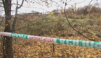 Za bieleho dňa chcel znásilniť ženu a potom ju umlátiť kameňom. Násilník sa postavil pred sudcu