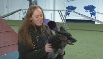 Vážna nehoda, operácie a rehabilitácie. Napriek osudu Bendži vyniká v zábavnom športe