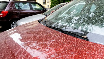 Auto si ani nemusíte umývať. Slovensko opäť zasiahne saharský prach