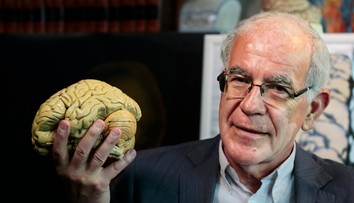 Zmenšuje mozog a ničí pamäť. Vedci varujú pred večerným zvykom, ktorý si pred spaním neodpustia mnohí Slováci