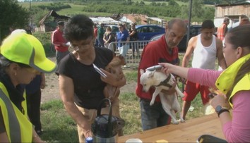 Veľká veterinárna akcia na východe Slovenska. Inšpektori sa zamerali na psy