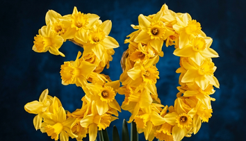 DEŇ NARCISOV – tradícia na Slovensku už 30 rokov. Na koho v ten deň myslíš ty?