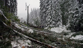 Na strednom Slovensku je bez elektriny 15-tisíc domácností, na západnom len 800