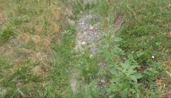 Potok vyschol, ryby a raky bojujú o život v posledných mlákach. Slovenská obec žiada o pomoc