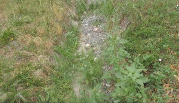 Potok vyschol, ryby a raky bojujú o život v posledných mlákach. Slovenská obec žiada o pomoc
