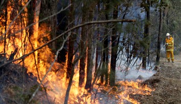 Ďalší austrálsky štát v ohrození: Pre požiare vyzvali 240-tisíc ľudí na evakuáciu