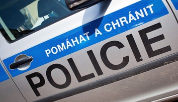 Bizarná nehoda v Česku. Auto tam zrazilo kenguru, zviera neprežilo