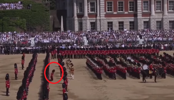 Mocní muži padali ako hnilé hrušky. Nezvládli čakanie na kráľovnú