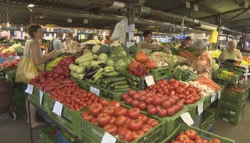 Ovocie či zelenina? Možno neviete, do ktorej kategórie patria niektoré potraviny