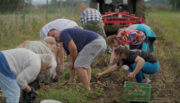 Samozber je hitom aj po lete. Ľudí na poliach čaká bohatá úroda