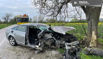 Iba 20-ročný mladík na audi A6 si zabil v aute o rok mladšiu kamarátku. Šoféroval opitý