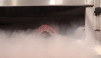 Odhalíme vám tajomstvo čerstvého mäsa v hypermarketoch