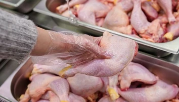 Robíte túto chybu pri mrazení kuraciny? Odborníci varujú pred rizikom pre zdravie,  jedna vec je kľúčová