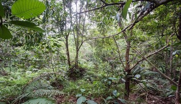 Nájdete na fotografii dvanásť britských vojakov?