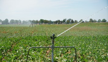 Situácia sa zhoršuje. Európa sa otepľuje najrýchlejšie zo všetkých kontinentov