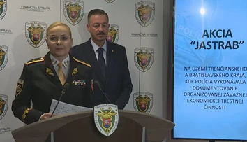 Štát prichádza o miliardy eur, vzniká Daňový štít. Nový expertný tím má mieriť na veľké ryby