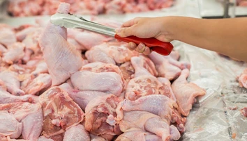 Na Slovensko sa dováža nekvalitné mäso z Poľska, ktoré malo skončiť v kafilérii, tvrdia hydinári