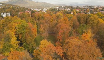 Banskobystričania sa boja, že sa obľúbený park zmení na pustatinu. Mesto chce vyrúbať stovky stromov