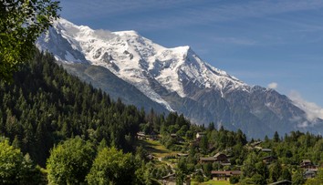 Prežijú len 3 percentá. Vedci vydali katastrofickú prognózu pre Alpy, nastane „vrchol vymierania“