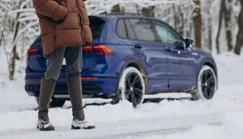 V noci bude takmer -20 °C. Jednoduchý trik proti námraze, skúste surovinu z kuchyne