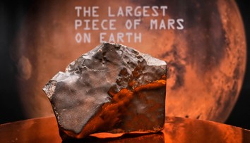 Údajne najväčší kus Marsu vydražili v New Yorku za astronomickú sumu. Kupec zaplatil milióny dolárov