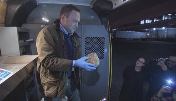 Za hubu zaplatili toľko ako za byt. Bili sa o ňu boháči z celého sveta