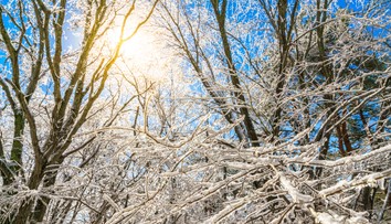 Kúsok svetla v zamračených dňoch: Na ktorých miestach si počas víkendu užijeme slnko (+ mapa)