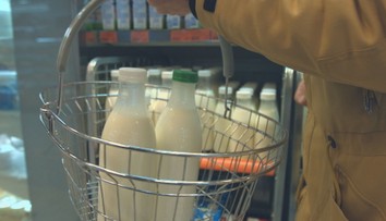 Slovenský mliekarenský sektor sa otriasa v základoch. Hrozí jeho kolaps