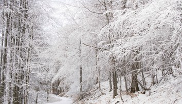 Sneh a mráz naplno vtrhnú na Slovensko. Prvé vločky začnú padať v tento deň