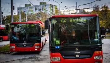 Turista neveril vlastným očiam. Spoje v Bratislave menia kvôli žabám