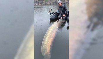 VIDEO: Kapitálny úlovok slávneho rybára. Vágner chytil kráľa Orlickej priehrady, ktorý mu tri roky unikal