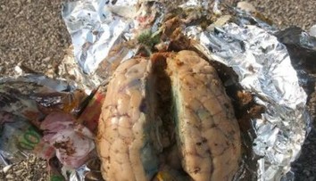 Muža počas prechádzky na pláži zaujal záhadný balíček. Našiel v ňom mozog