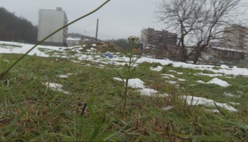 Na Luníku IX vyrastú v rámci projektu z eurofondov štyri nové bytovky. Obyvatelia musia splniť prísne kritéria