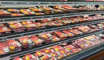 Poriadne si skontrolujte mrazničku. Vo veľkom reťazci nebezpečnú baktériu, skrývala sa v mäse