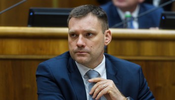 Taraba volá po akútnej sanácii vyschnutých lesov. Podľa PS a iniciatívy My sme les zneužíva tragédiu