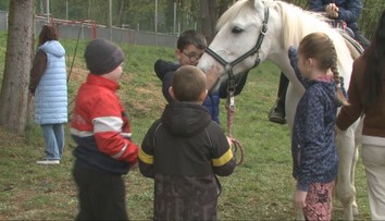 V rozvrhu im svieti netradičný predmet. Raz týždenne žiaci vymenia školskú lavicu za konské sedlo