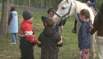 V rozvrhu im svieti netradičný predmet. Raz týždenne žiaci vymenia školskú lavicu za konské sedlo