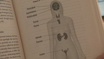Lenka si myslela, že je to stres zo smrti dcéry. Telo jej však vysielalo úplne iné varovania