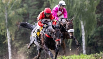 Veľkú pardubickú po troch dekádach ovládol zahraničný kôň. Slovák Matuský siahal na top päťku