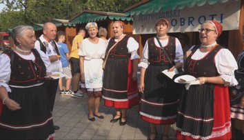 Tance, chute a srdce východu. Zemplín žil tento víkend najväčším folklórnym festivalom