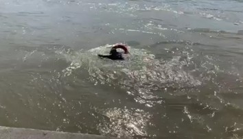 Žena, ktorú z Dunaja vytiahli odvážni policajti, na druhý deň zomrela v nemocnici