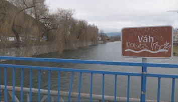 Miestni bojujú o desiatky stromov pri Váhu. Radnica plánuje výrub, susedné mesto ukazuje inú cestu