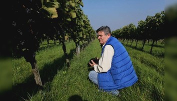 Podnikanie v súlade s prírodou nebolo v móde, no skúsili to. Teraz produkujú unikátne ekologické víno