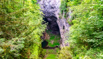 Do priepasti na juhu Moravy skočila matka s dvomi deťmi. Nikto z nich neprežil